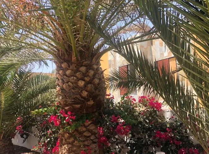 Lejlighed Sunny Complex Amaya Fuerteventura *