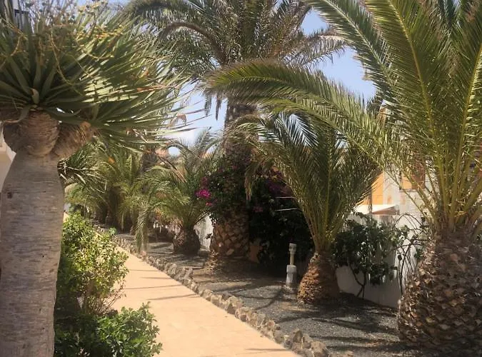 Lejlighed Sunny Complex Amaya Fuerteventura