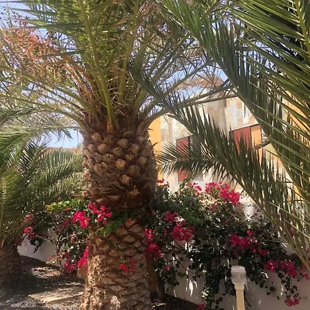 Daire Sunny Complex Amaya Fuerteventura *