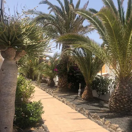 Daire Sunny Complex Amaya Fuerteventura